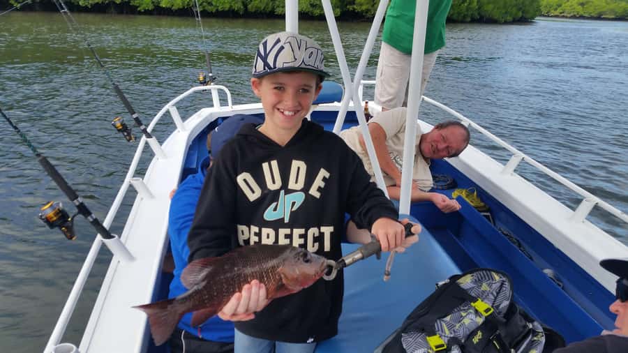 Cairns: Morning Estuary Fishing Charter - The Guide Factor: Darryl’s Style and Why It Changes the Outcome