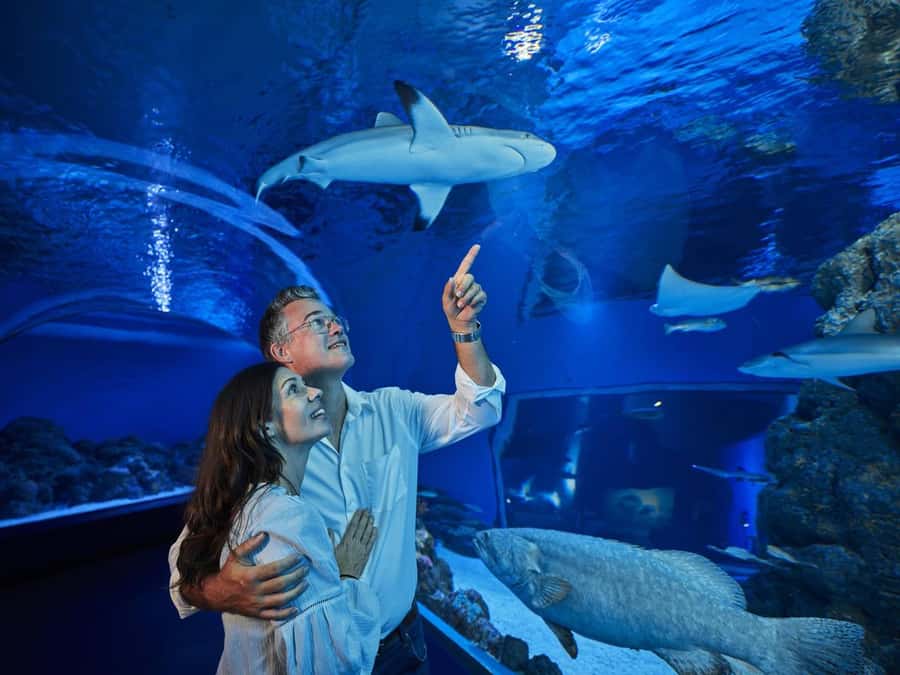 Cairns: Night at the Aquarium Guided Tour - Key Things That Make This Night Tour Worth It