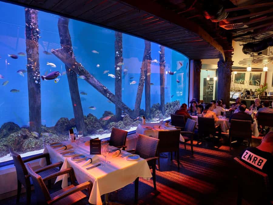 Cairns: Night at the Aquarium Guided Tour & 2 Course Dinner - Cairns Aquarium after dark: what makes this night tour special