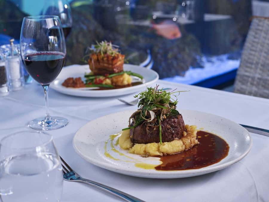 Cairns: Night at the Aquarium Guided Tour & 2 Course Dinner - The guided route through rivers, reef, rainforest, and the Coral Sea