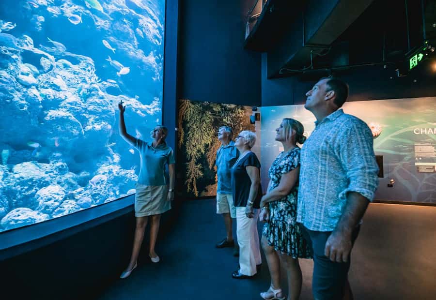 Cairns: Night at the Aquarium Guided Tour - Meet at Cairns Aquarium: How the Night Tour Starts