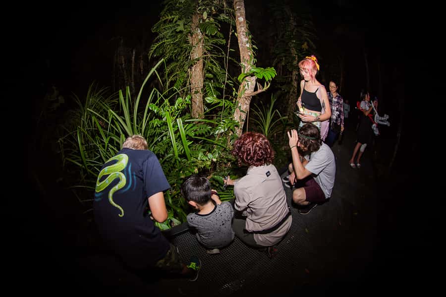 Cairns: Night Walk in Cairns Botanic Gardens - Price and value for $56, what you are paying for besides the walking