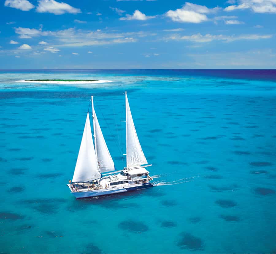 Cairns: Ocean Spirit Great Barrier Reef Full Day Tour - Cairns to the reef on a 32-meter sailing catamaran