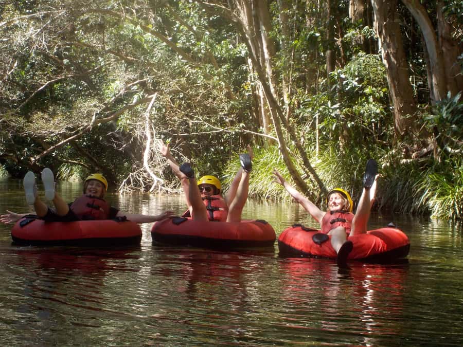 Cairns or Northern Beaches: Rainforest River Tubing - A Relaxing Float With Real Rainforest Drama on the Mulgrave River