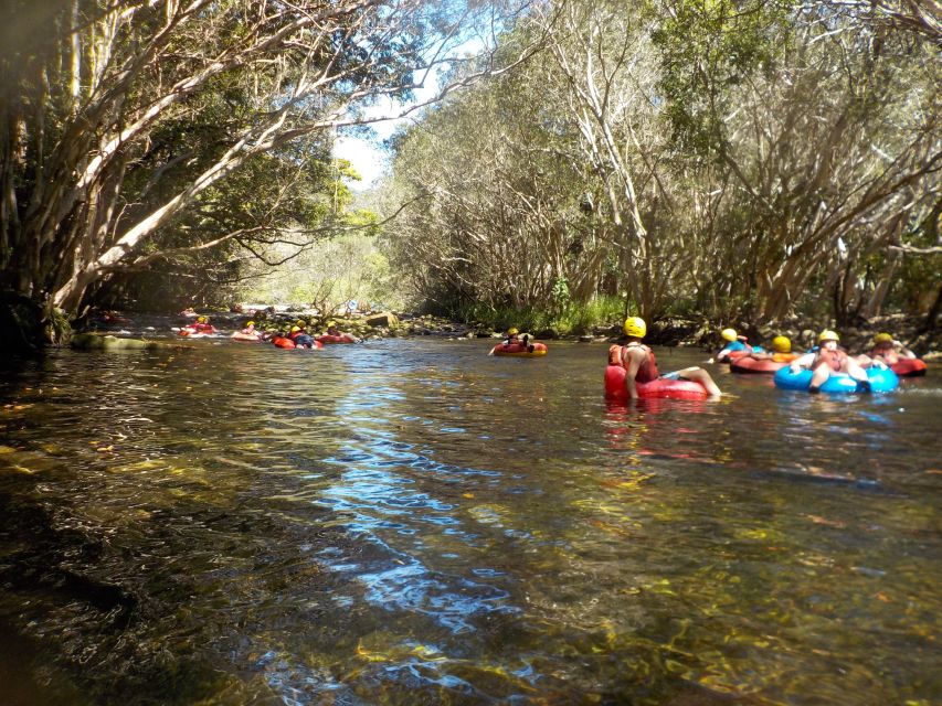 Cairns or Northern Beaches: Rainforest River Tubing - Should You Book Rainforest River Tubing From Cairns or the Northern Beaches?