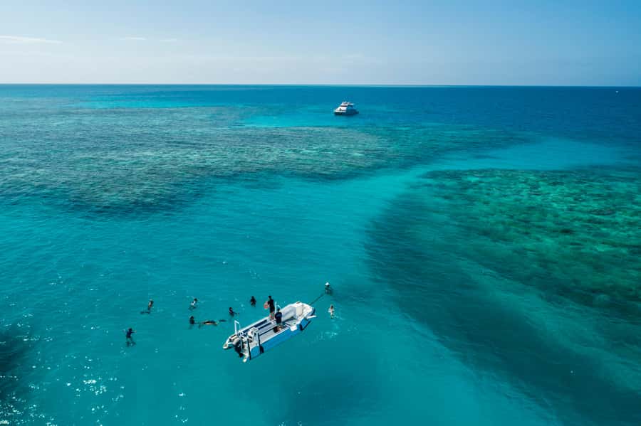 Cairns: Outer and Coral Cay Snorkel and Dive Cruise - Key points worth knowing