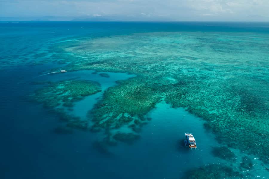 Cairns: Outer and Coral Cay Snorkel and Dive Cruise - Adventure drift snorkel and the glass-bottom boat that multiplies sightings
