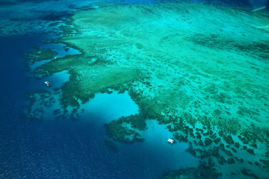 Cairns: Outer Edges of The Great Barrier Reef Scenic Flight - Cairns to the Outer Barrier, in 40 minutes