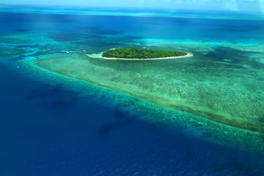 Cairns: Outer Edges of The Great Barrier Reef Scenic Flight - Meet at Daintree Air Services and settle into your window seat