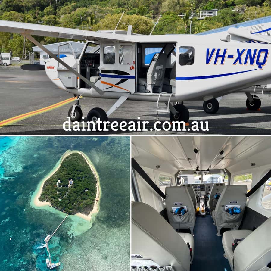 Cairns: Outer Edges of The Great Barrier Reef Scenic Flight - Marine life chances, plus whale spotting in July to August