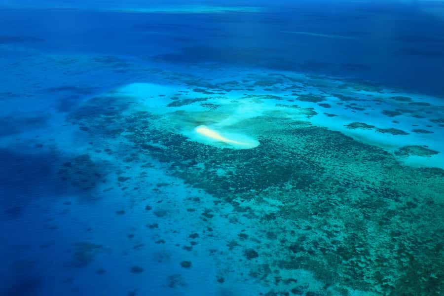 Cairns: Outer Edges of The Great Barrier Reef Scenic Flight - Comfort, safety, and the small-plane reality check