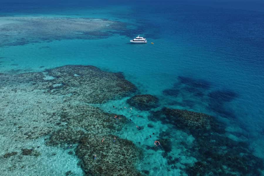 Cairns: Outer Great Barrier Reef & Dunk Island Small Group - Beaver Reef snorkelling from Cairns, the key idea