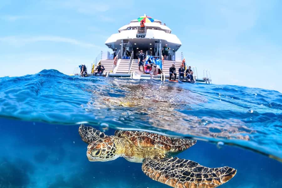 Cairns: Outer Great Barrier Reef Full-Day Tour with Lunch - The cruise time: how the 80 minutes helps you enjoy the day