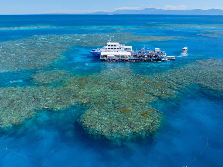 Cairns: Outer Great Barrier Reef Pontoon with Activities - Key highlights from the Moore Reef pontoon day
