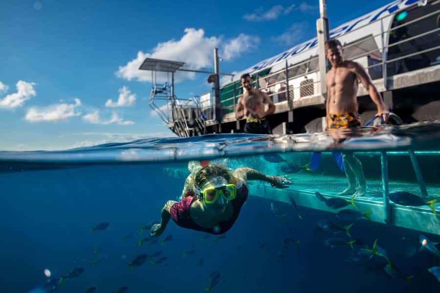 Cairns: Outer Great Barrier Reef Pontoon with Activities - Boarding and the pontoon rhythm once you arrive at Moore Reef