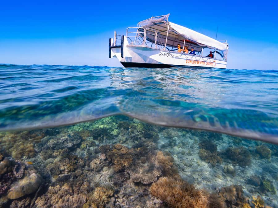 Cairns: Outer Great Barrier Reef Pontoon with Activities - Optional upgrades: SCUBA package and a 10-minute helicopter flight