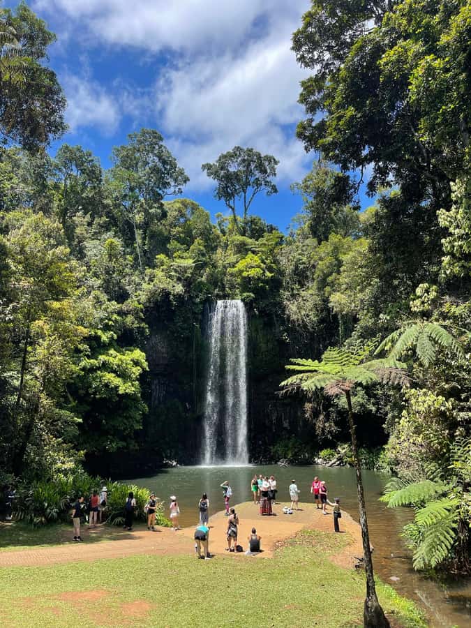 Cairns: Paronella, Lake Barrine & Millaa Millaa Falls Tour - Small-group vibe, guides, and what the premium part likely means