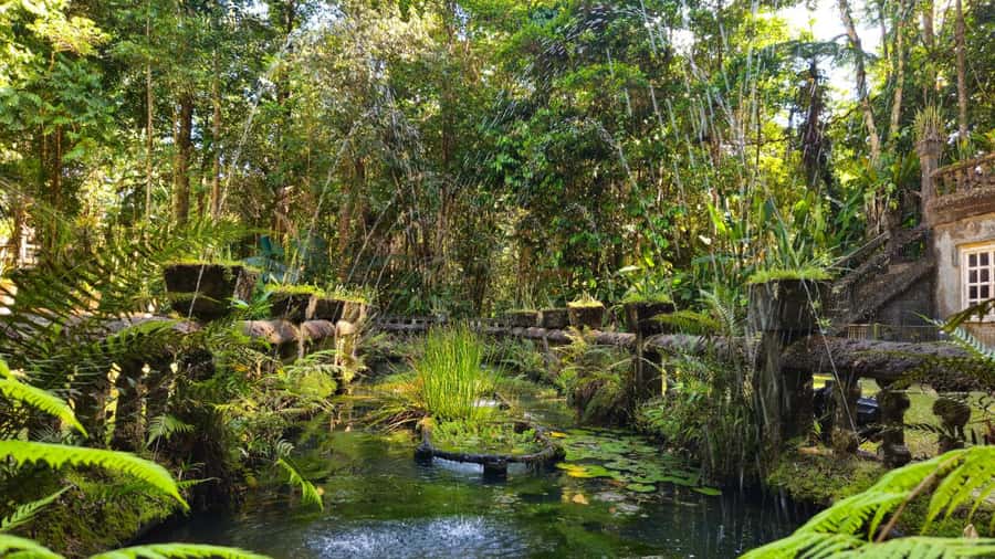 Cairns: Paronella, Lake Barrine & Millaa Millaa Falls Tour - The drive route through the Atherton Tablelands, and why the road matters