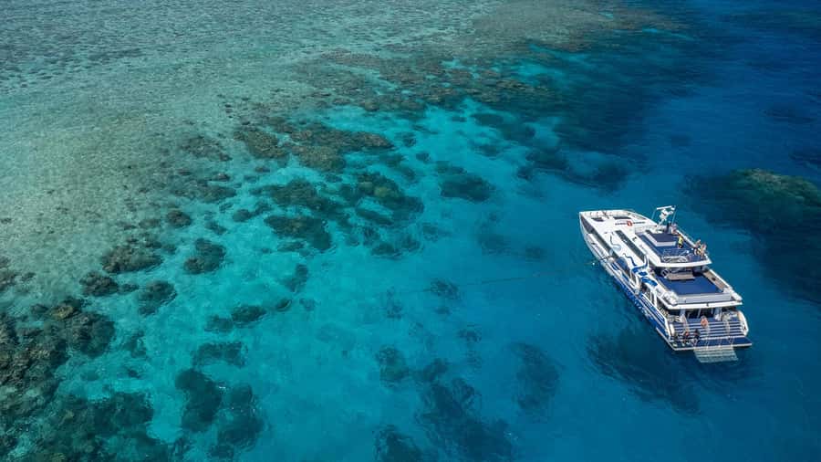 Cairns: Premium Snorkelling and Diving Reef Day Trip - Key things that make this reef day work