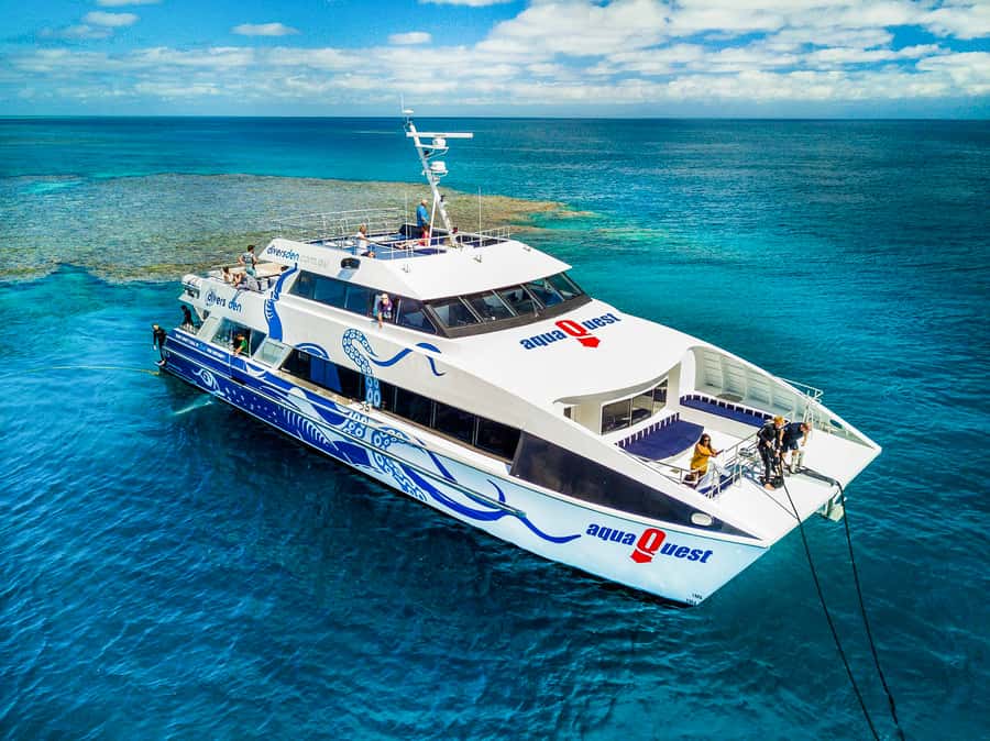 Cairns: Premium Snorkelling and Diving Reef Day Trip - From Cairns Marina to the Outer Reef: what your morning really feels like