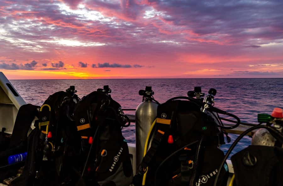Cairns: Pro Dive Great Barrier Reef 3 Day/2 Night Dive Trip - Food, downtime, and using the in-between hours well