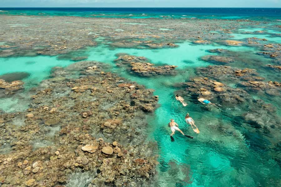 Cairns: Silverswift 3 Great Barrier Reef Sites in 1 Day - Who Should Book This 3-Reef Silverswift Day, and Who Might Want to Rethink