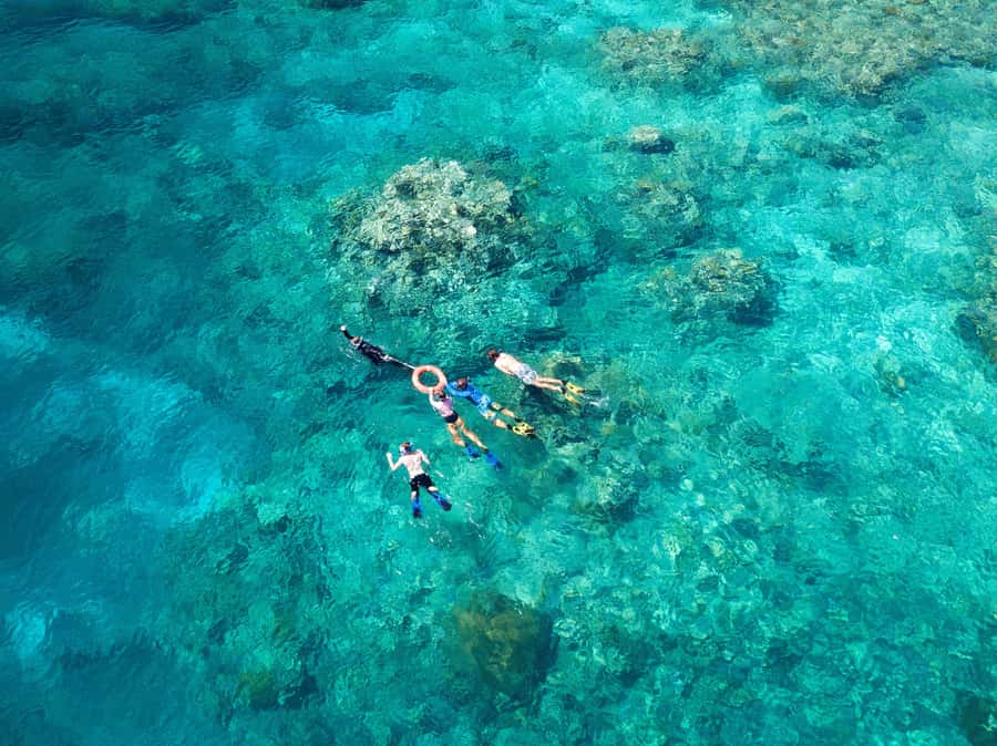 Cairns: Snorkelling and Diving Reef Day Trip - Getting to the Outer Great Barrier Reef, starting at Cairns Marina