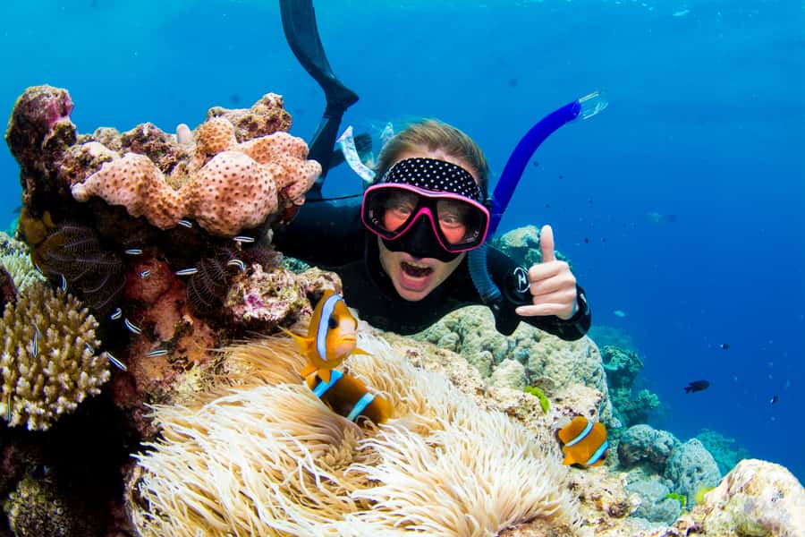 Cairns: Snorkelling and Diving Reef Day Trip - Two snorkel locations on the Outer Reef, and why that matters