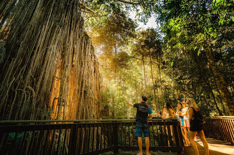 Cairns: Waterfall and Daintree Rainforest Tour - 2 Day Tours - Two Days From Cairns: How the Waterfalls and Daintree Fit Together