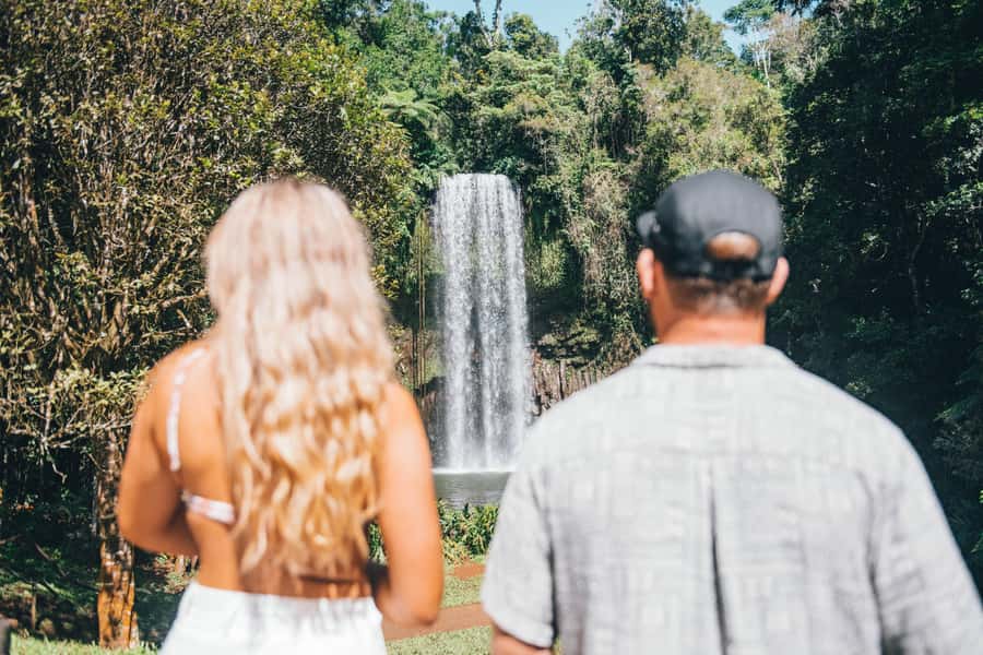 Cairns: Waterfall and Daintree Rainforest Tour - 2 Day Tours - Price and Value: Is $221 Worth Two Full Days?