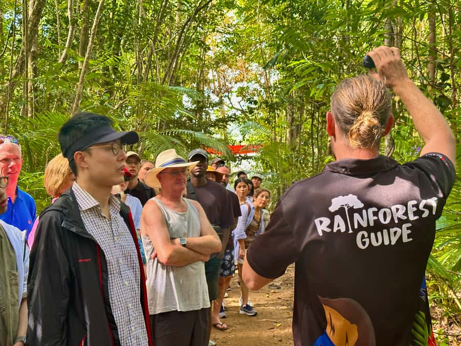 Cairns: Waterfall and Daintree Rainforest Tour - 2 Day Tours - Who This Tour Fits Best (and Who Might Want Something Else)