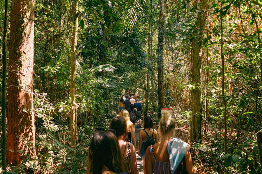 Cairns: Waterfall Tour with Lunch - Price and Value: Is $101 Worth It?