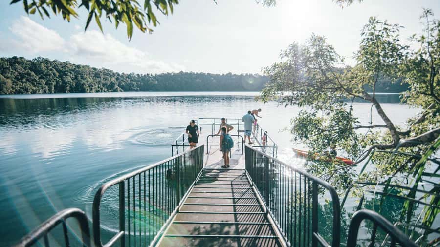 Cairns: Waterfall Tour with Lunch - Millaa Millaa Falls: The Classic Waterfall Stop That’s Worth the Camera