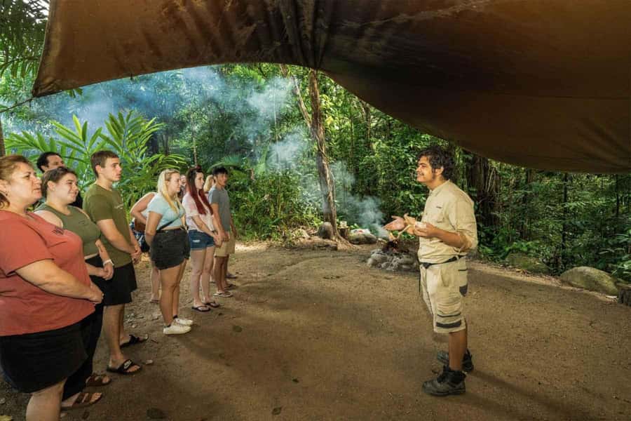 Cairns: Wildlife Habitat, Mossman Gorge, and Daintree Tour - From Cairns pickup to Port Douglas Wildlife Habitat