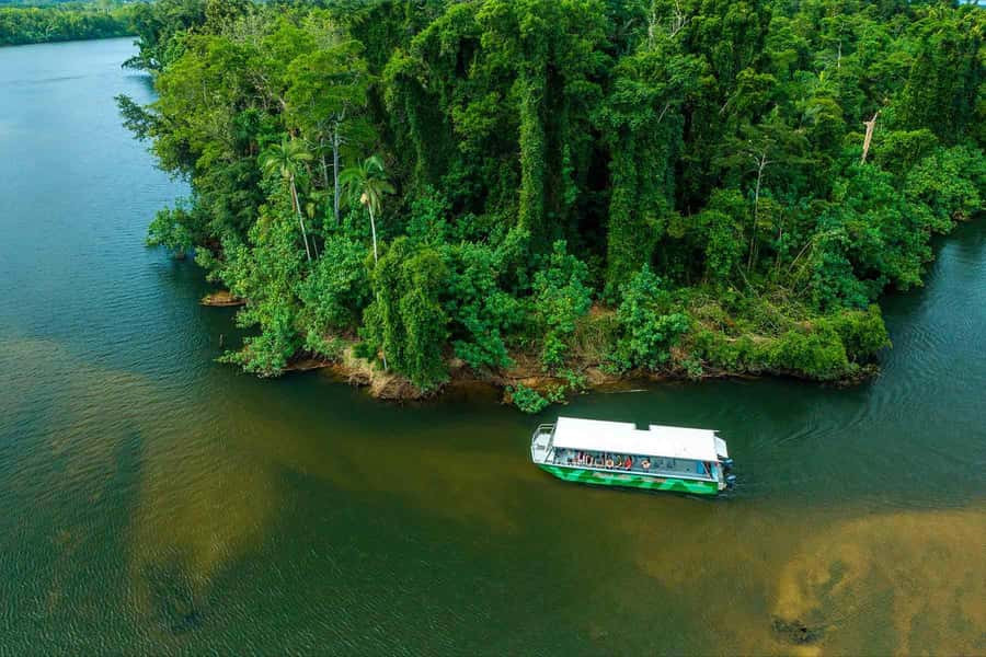 Cairns: Wildlife Habitat, Mossman Gorge, and Daintree Tour - Wildlife Habitat Port Douglas: interactive animals plus conservation