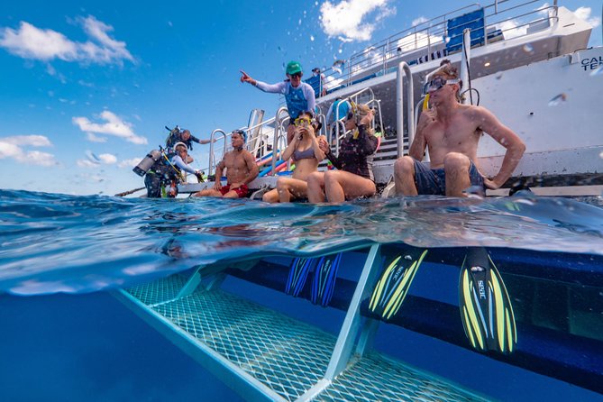 Calypso Outer Great Barrier Reef Cruise from Port Douglas - Key things to know before you go with Calypso Reef Cruises