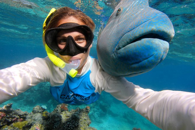 Calypso Outer Great Barrier Reef Cruise from Port Douglas - Food, reef talk, and what to expect from the onboard day