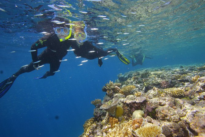 Calypso Outer Great Barrier Reef Cruise from Port Douglas - Seasickness, wind, and the reality of the outer reef