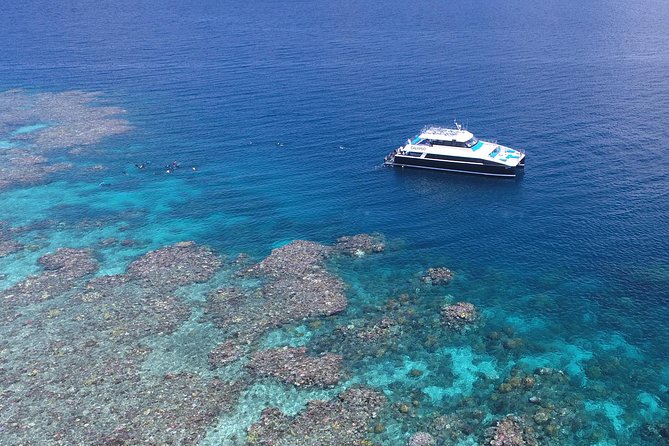 Calypso Outer Great Barrier Reef Cruise from Port Douglas - The boat setup, group size, and the barefoot rule