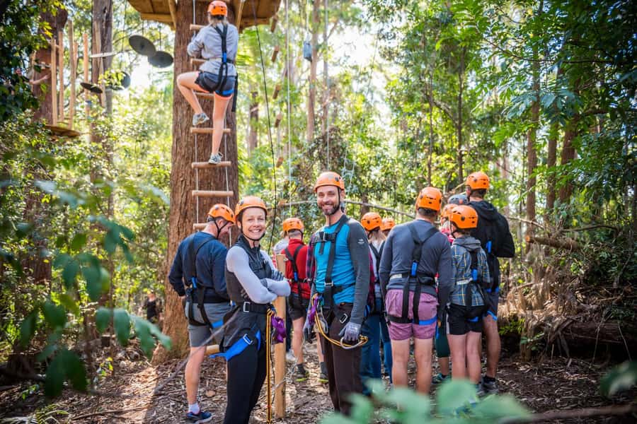 Canberra: Majura Pines Tree Ropes Course - The Course Flow: Swinging Bridges, Wobbly Crossings, and Zip Lines