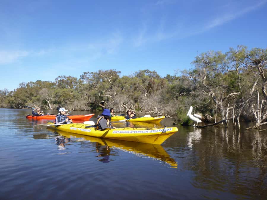 Canning River Half-Day Kayak Wildlife Tour - What Happens Before You Paddle (And Why It Feels Effortless)