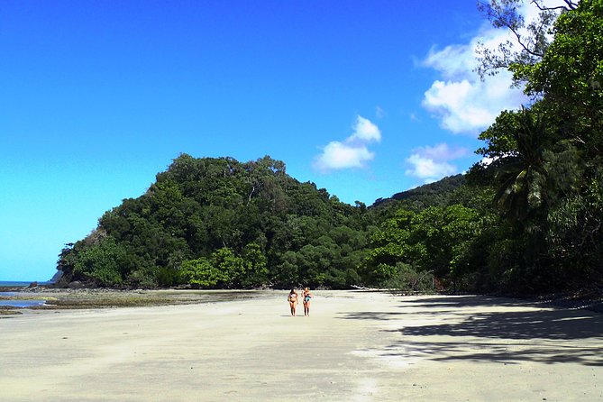 Cape Tribulation Day Tour from Cairns - Cape Tribulation without the car hassle