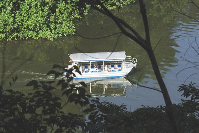 Cape Tribulation Day Tour from Cairns - Port Douglas: beach time and a morning reset