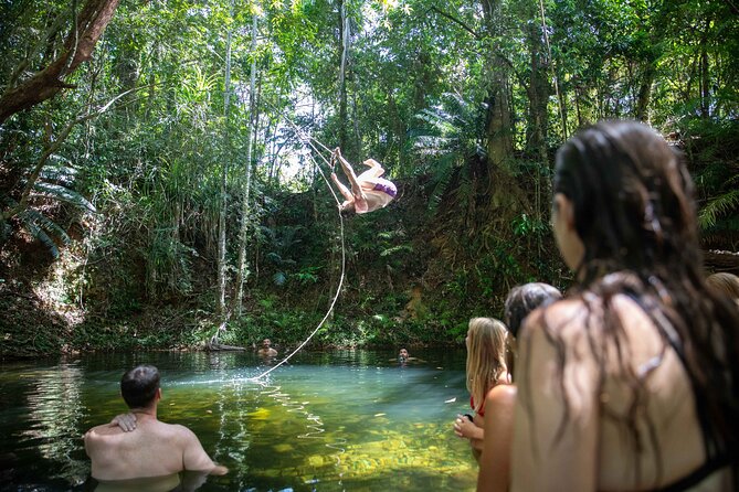 Cape Tribulation Day Tour from Cairns - What you really get for the money