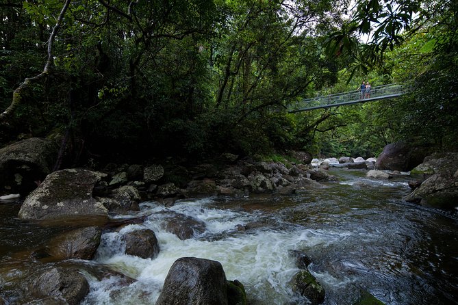 Cape Tribulation, Mossman Gorge and Daintree Rainforest Day Tour - Key highlights and why they matter