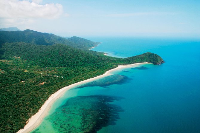 Cape Tribulation, Mossman Gorge and Daintree Rainforest Day Tour - Small group size (14 max) and what it changes for your day
