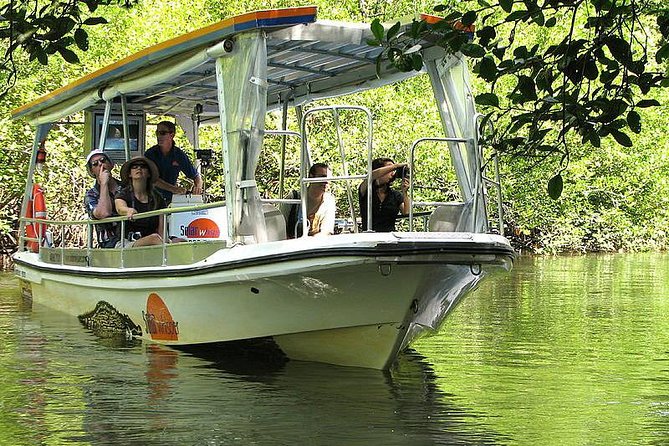 Cape Tribulation, Mossman Gorge and Daintree Rainforest Day Tour - Mossman Gorge Cultural Centre: rainforest walk plus a cold swim option