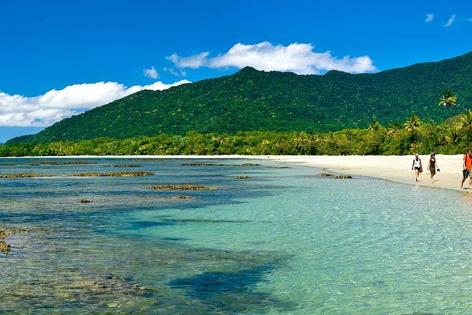 Cape Tribulation, Mossman Gorge and Daintree Rainforest Day Tour - Thornton Beach walk options and Cape Tribulation rainforest-to-coast vibes