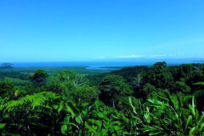 Cape Tribulation, Mossman Gorge and Daintree Rainforest Day Tour - Cape Tribulation treats, Mount Alexandra Lookout, and the ferry moment