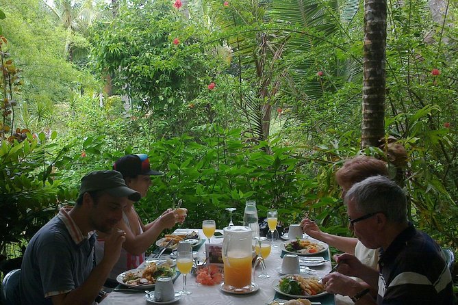 Cape Tribulation, Mossman Gorge and Daintree Rainforest Day Tour - Captain Cook Highway views and a quick Port Douglas reset